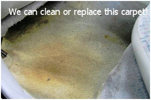 Auto Carpet Cleaning and Repairs